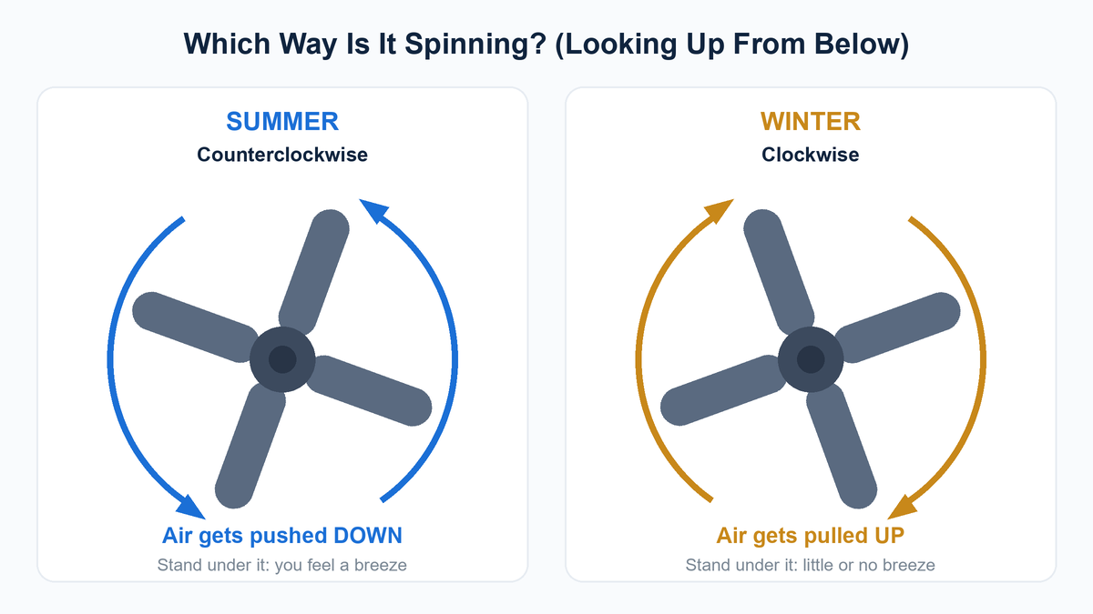 Diagram comparing a ceiling fan viewed from below spinning counterclockwise in summer to push air down and clockwise in winter to pull air up