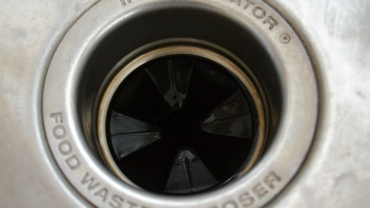 Close-up top view of a stainless steel sink garbage disposal opening with a dark rubber splash guard, where fruit flies breed in hidden gunk