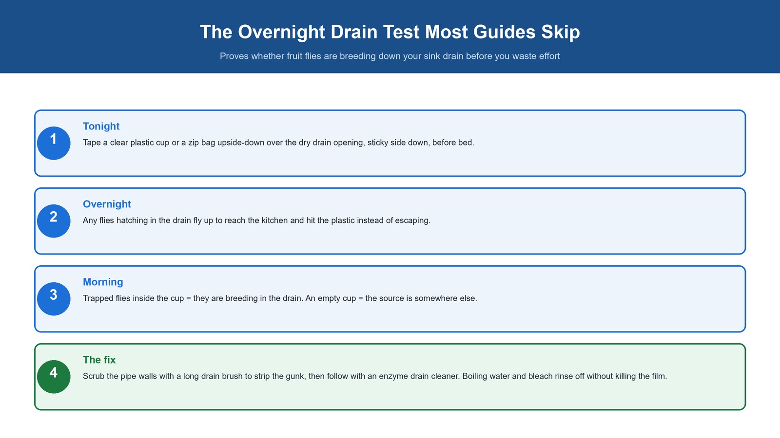 Step-by-step diagram of the overnight drain test: tape a clear cup over the drain, check in the morning for trapped flies, then scrub the pipe