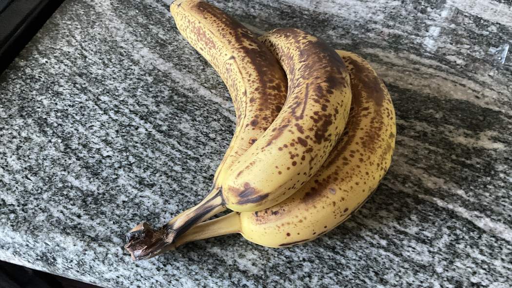 A bunch of overripe, heavily brown-spotted bananas on a kitchen counter, a prime fruit fly breeding site