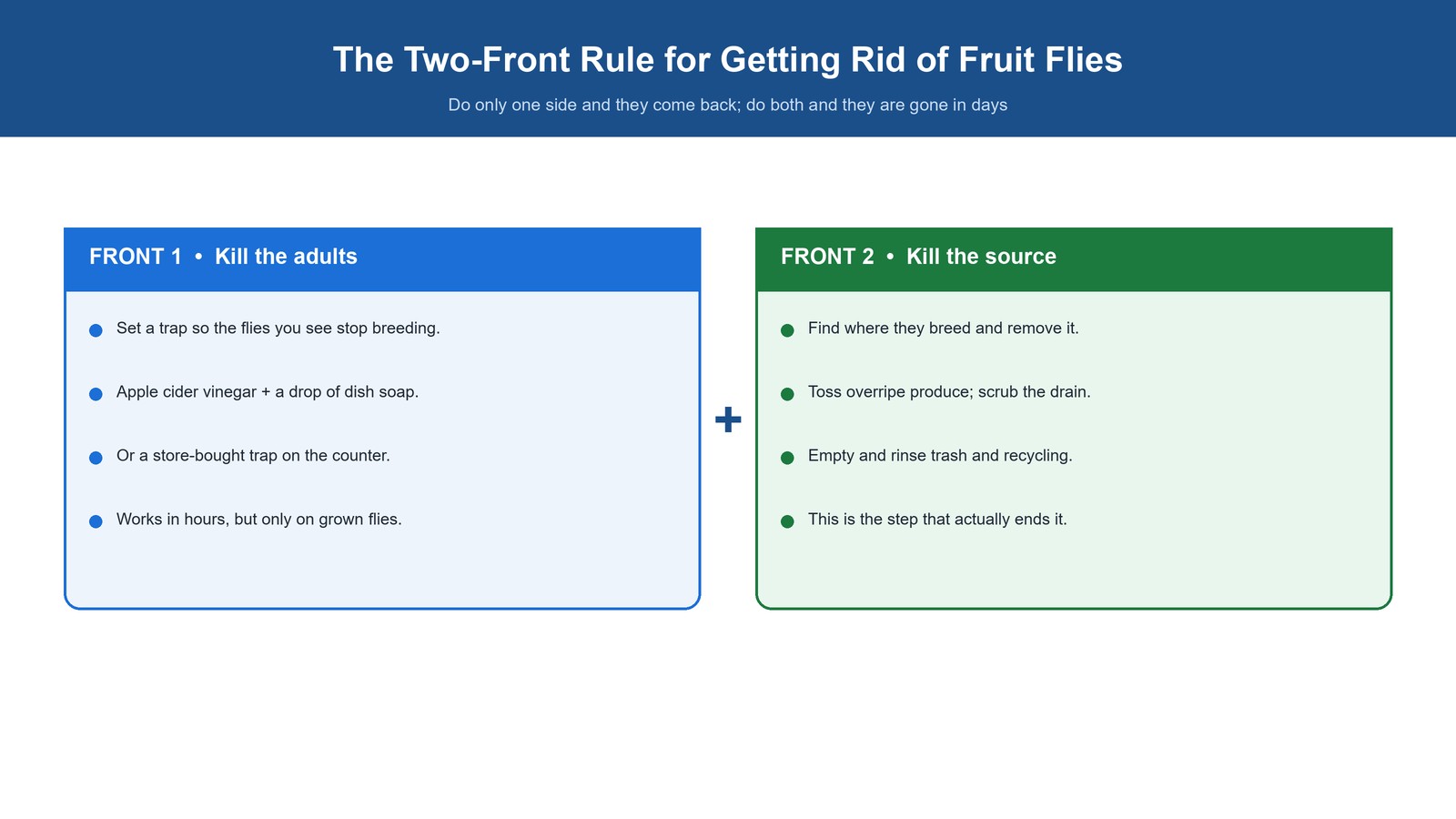 Diagram of the two-front rule: front one kills the adult flies with a trap, front two kills the breeding source, and you must do both at once