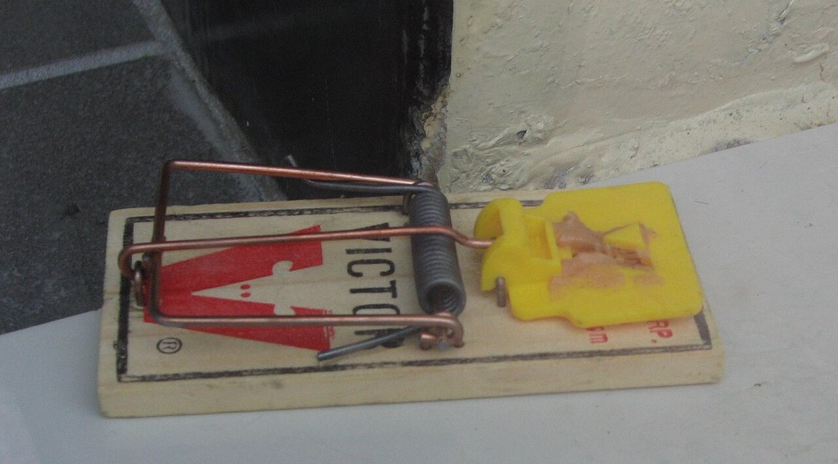 A classic wooden Victor snap trap baited with peanut butter, set on the ground beside a wall gap