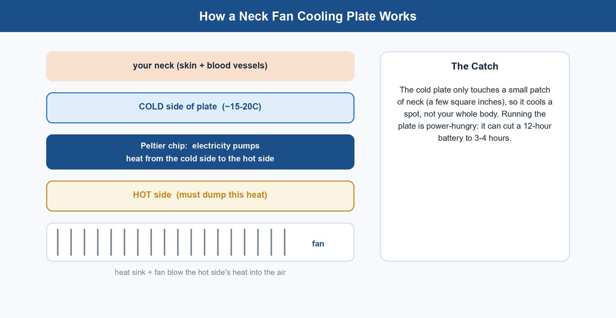 Diagram of a neck fan cooling plate showing the cold Peltier side against the neck and the hot side vented by a fan