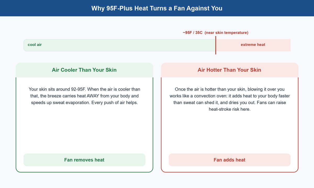 Diagram showing a fan removes heat when air is cooler than skin but adds heat once air passes about 95 Fahrenheit