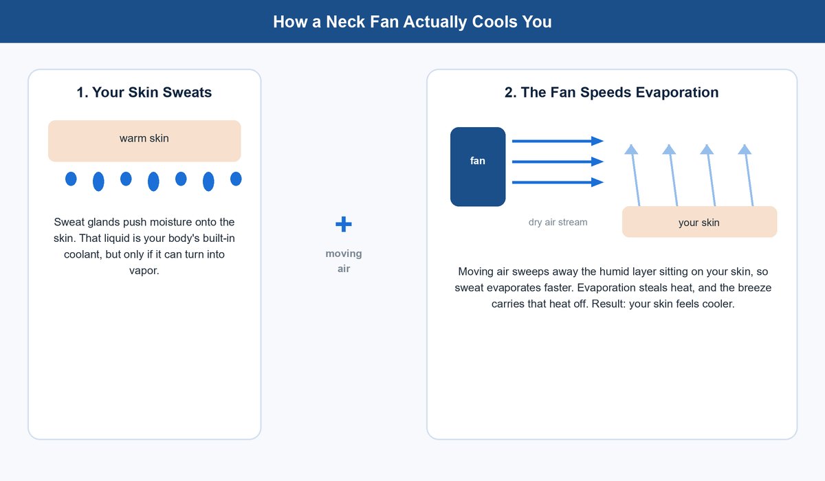 Diagram showing how a neck fan cools you by speeding sweat evaporation and blowing warm air off the skin