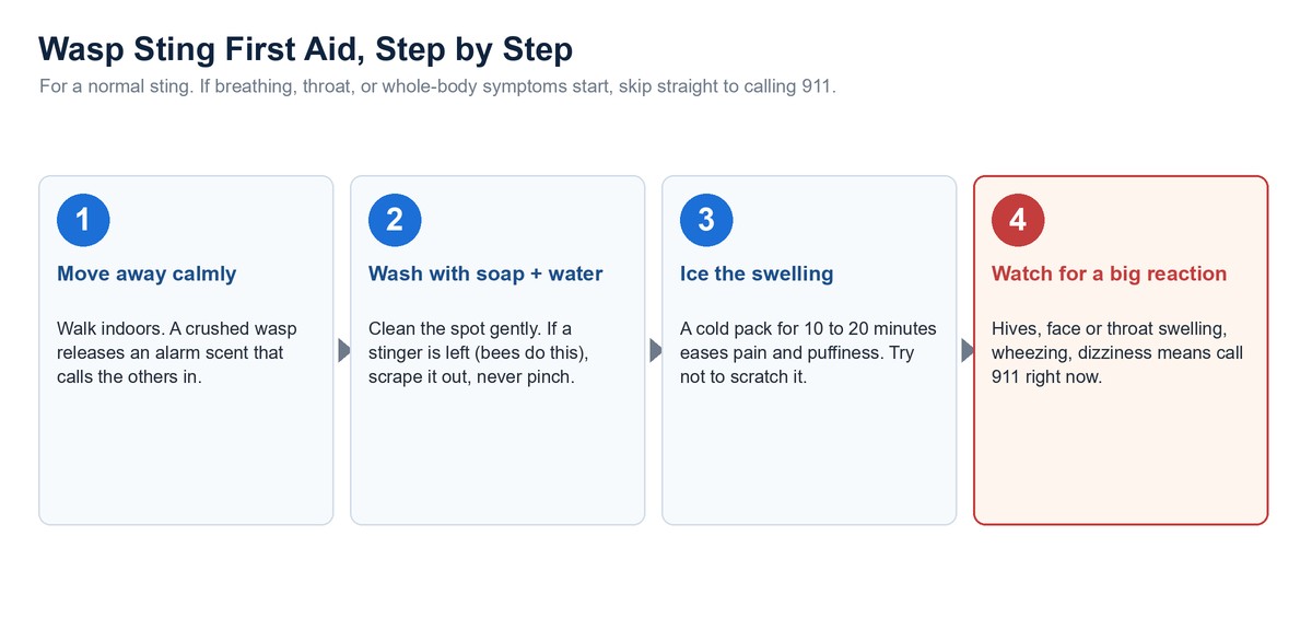 Four-step diagram for wasp sting first aid: move away calmly, wash with soap and water, ice the swelling, and watch for a severe reaction