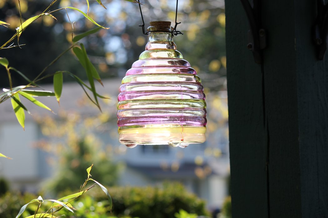 A decorative hanging glass wasp trap in a garden, used to catch foraging wasps with sweet bait