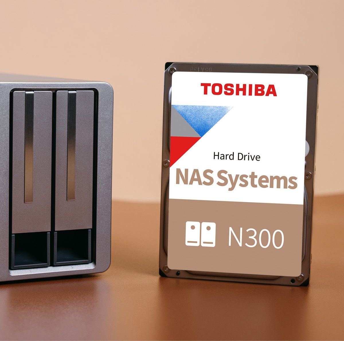 Toshiba N300